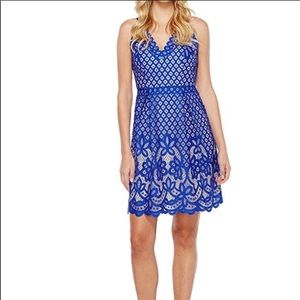 Adrianna Papell 10 Royal Blue Lace Dress